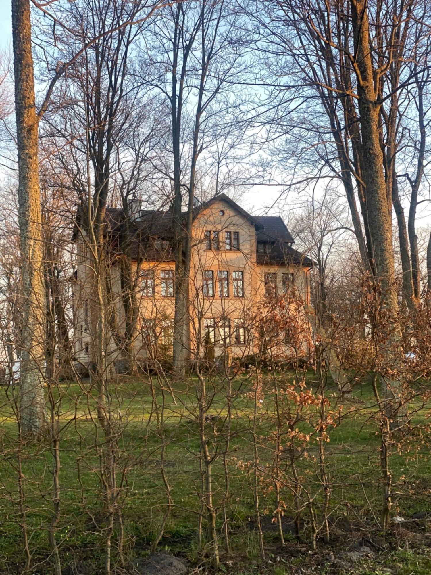 Palac Poraj Wicko  Exterior photo